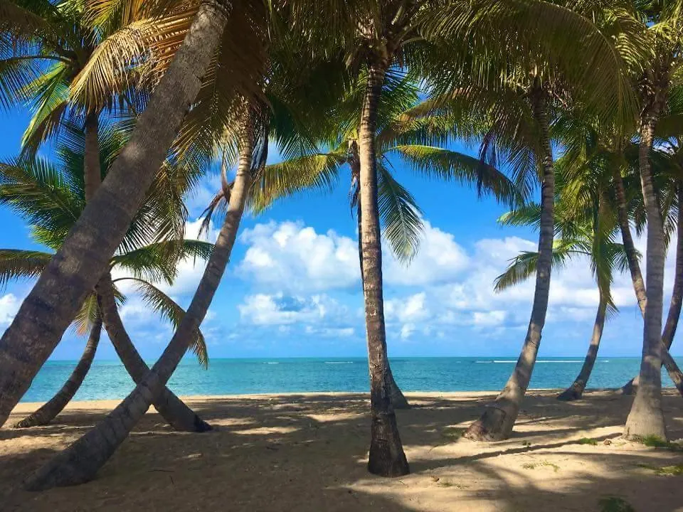 Cozy Suite At Coco Beach , Not Pets 里奥格兰德
